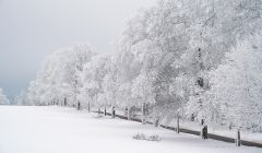 Winterlandschaft.jpg
