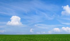 Weites Feld mit Wolkenhimmel